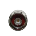 Ntype-Male-RG405